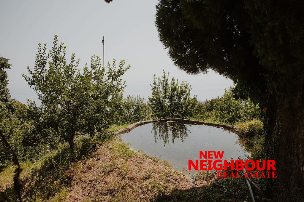 Οικόπεδο 10.573 τ.μ. πρός πώληση, Μαγνησία, Ζαγορά