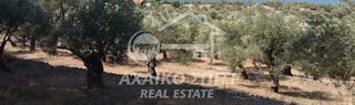 Αγροτεμάχια 40.000 τ.μ. για πώληση