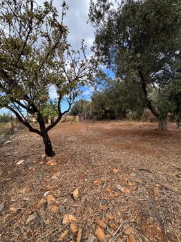 Detached home 786 sqm for sale