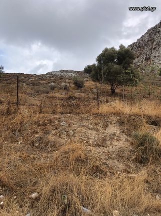 Οικόπεδο 9.700 τ.μ. για πώληση, Δωδεκάνησα, Κάλυμνος