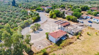 Οικόπεδο 4.000 τ.μ. για πώληση, Μεσσηνία, Ανδρούσα-thumb-9