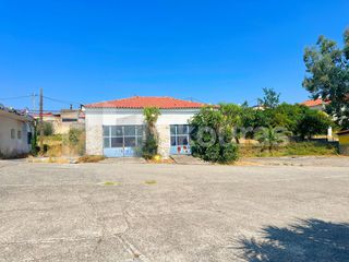 Οικόπεδο 4.000 τ.μ. για πώληση, Μεσσηνία, Ανδρούσα-thumb-15