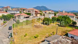 Οικόπεδο 4.000 τ.μ. για πώληση, Μεσσηνία, Ανδρούσα-thumb-7