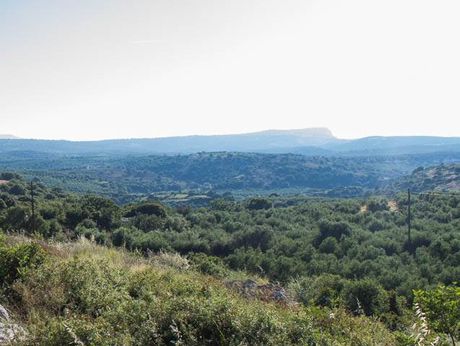Αγροτεμάχια 4.745τ.μ. για πώληση-Γεροπόταμος