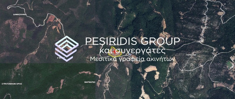 Οικόπεδο 27.000 τ.μ. προς πώληση, Βαρβάρα Αρναίας
