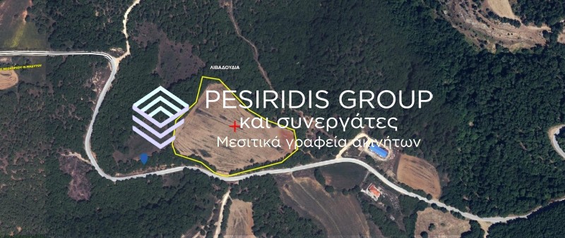Οικόπεδο 27.000 τ.μ. προς πώληση, Βαρβάρα Αρναίας