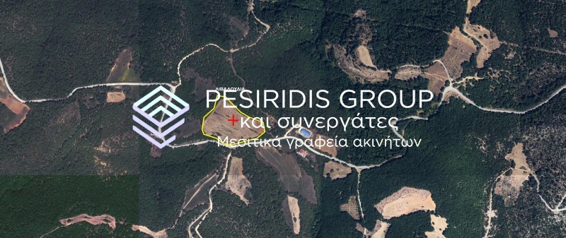 Οικόπεδο 27.000 τ.μ. προς πώληση, Βαρβάρα Αρναίας