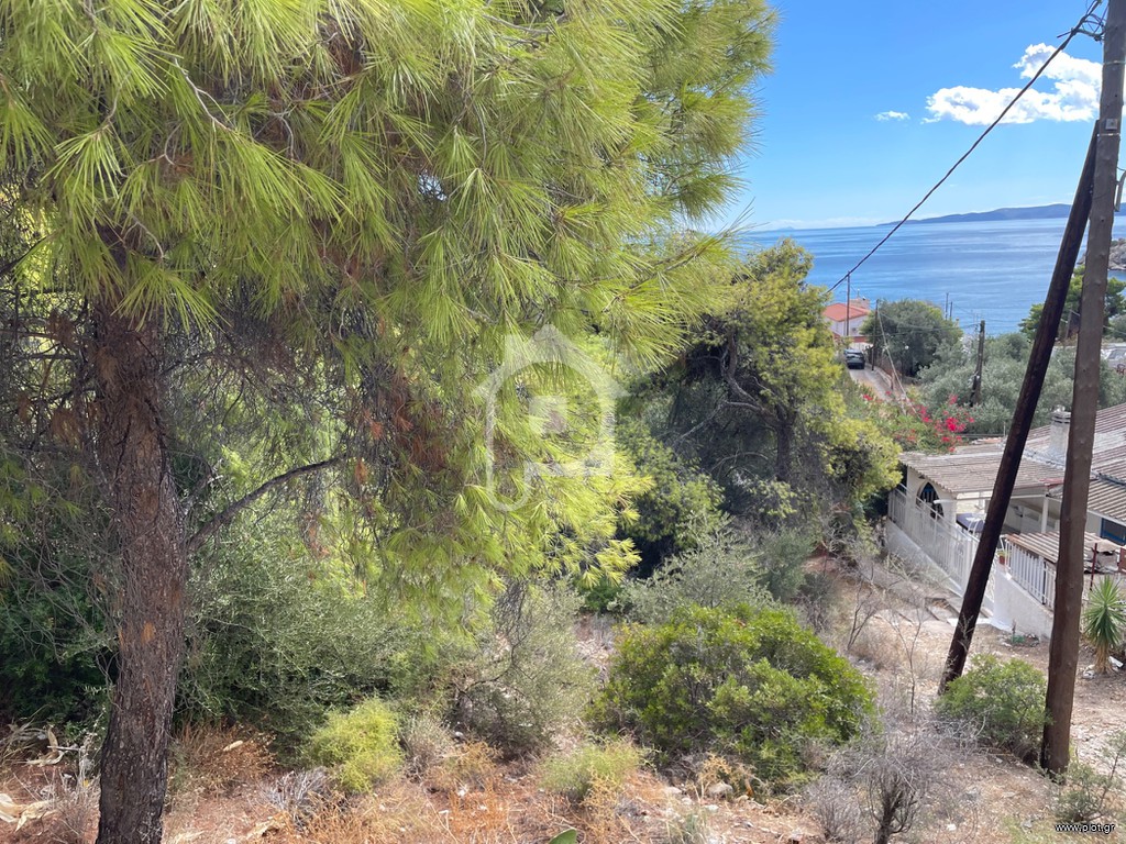 Αγροτεμάχια 1.110 τ.μ. προς πώληση, Περιστέρια Σαλαμίνας