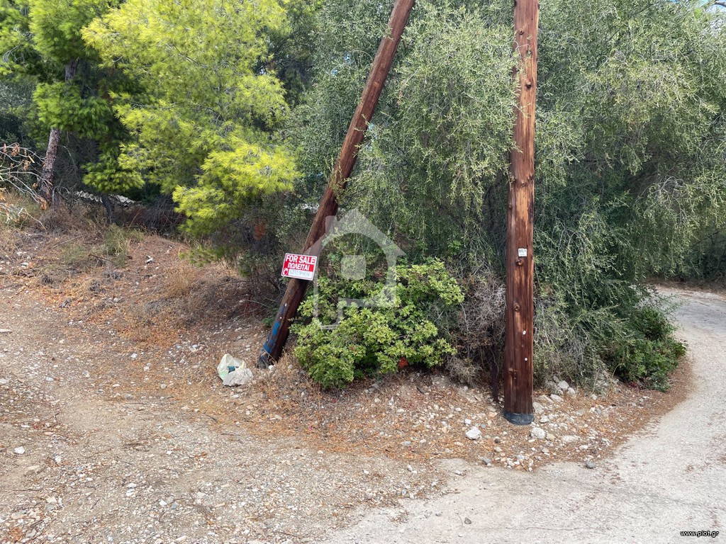 Αγροτεμάχια 1.110 τ.μ. προς πώληση, Περιστέρια Σαλαμίνας