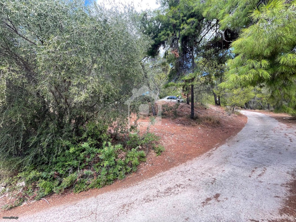 Αγροτεμάχια 1.110 τ.μ. προς πώληση, Περιστέρια Σαλαμίνας