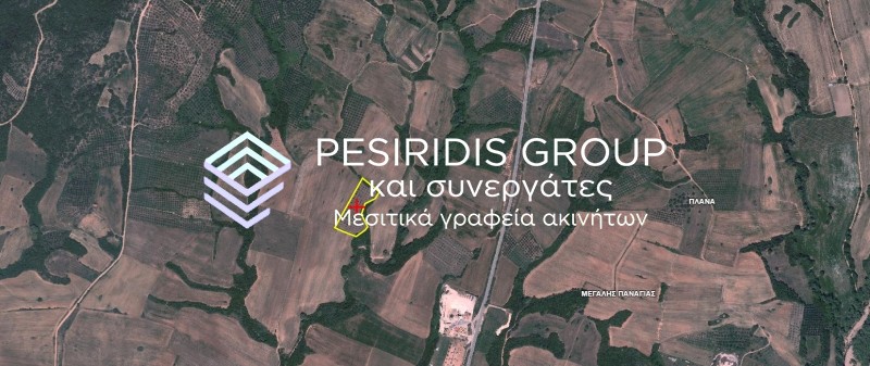 Αγροτεμάχια 7.000 τ.μ. προς πώληση, Μεγάλη Παναγία