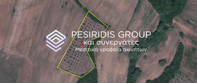 Αγροτεμάχια 7.000 τ.μ. προς πώληση, Μεγάλη Παναγία