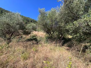 Οικόπεδο 623 τ.μ. για πώληση, Ν. Λευκάδας, Λευκάδα-thumb-6