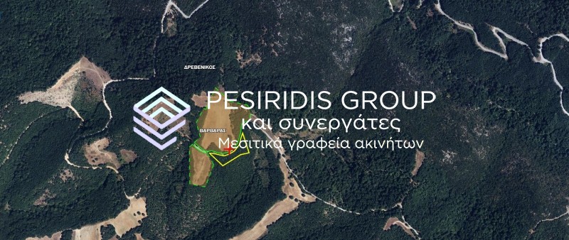 Οικόπεδο 50.000 τ.μ. προς πώληση, Βαρβάρα Αρναίας
