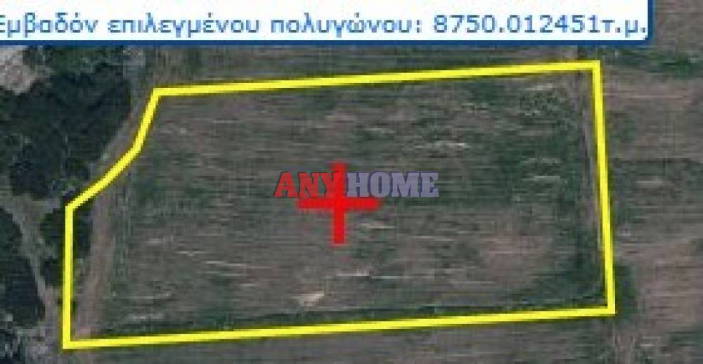 Αγροτεμάχια 8.750 τ.μ. προς πώληση, Λακκιά