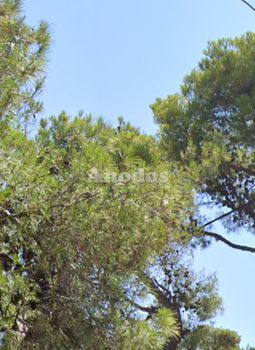 Μονοκατοικία 175τ.μ. για πώληση-Νέα ερυθραία » Μορτερό