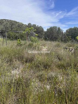 Parcel 2.380sqm for rent-Koropi » Skarpiza