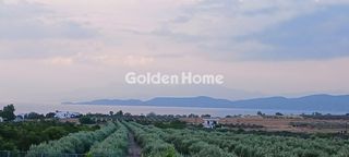 Μεζονέτα 474 τ.μ. για πώληση
