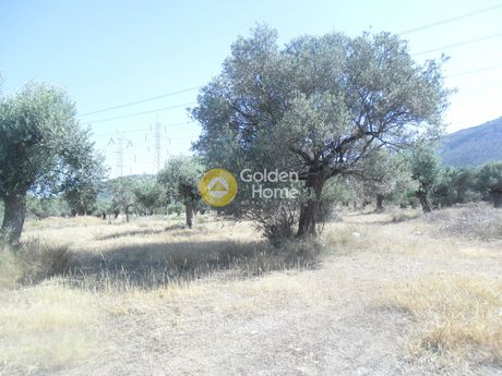 Αγροτεμάχια 1.154τ.μ. για πώληση-Καλύβια θορικού » Κέντρο