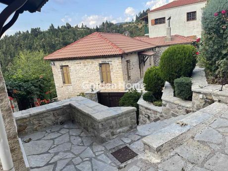 Ξενοδοχείο 378τ.μ. για πώληση-Καρπενήσι » Φιδάκια