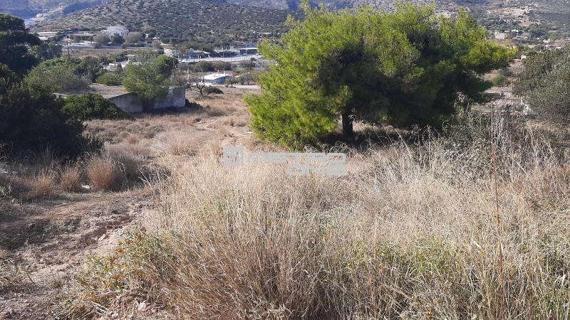 Οικόπεδο 1.194 τ.μ. προς πώληση, Αγία Μαρίνα Κορωπίου