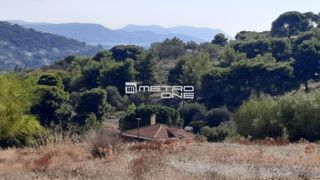 Οικόπεδο 15.000 τ.μ. για πώληση