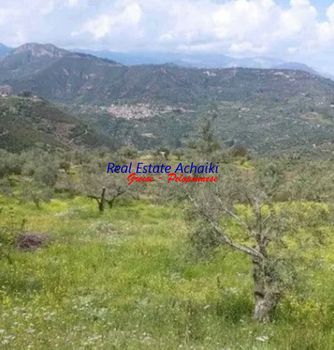 Αγροτεμάχια 3.870τ.μ. για πώληση-Αίγιο » Αχλαδιά