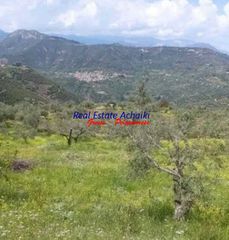 Αγροτεμάχια 3.870 τ.μ. για πώληση