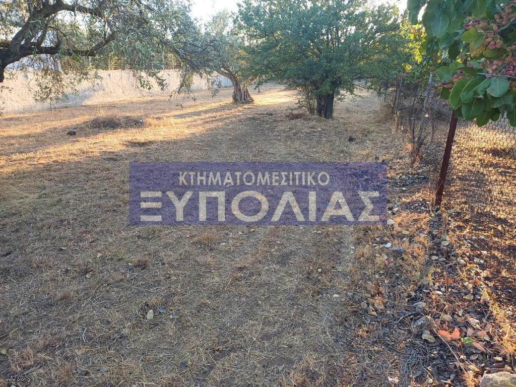 Αγροτεμάχια 850 τ.μ. προς πώληση, Κίτσι