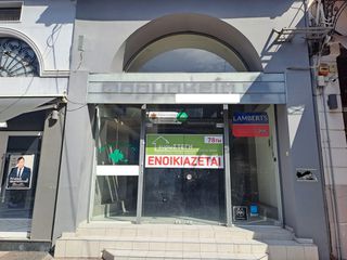 Κατάστημα 78 τ.μ. για ενοικίαση, Ν. Τρικάλων, Τρίκαλα-thumb-9