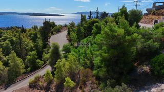 Οικόπεδο 864,30 τ.μ. για πώληση, Αργολίδα, Κρανίδι-thumb-21