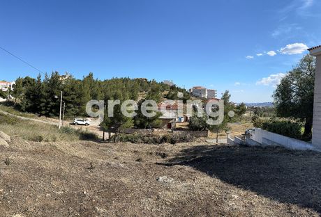 Land plot 500sqm for sale-Pikermi