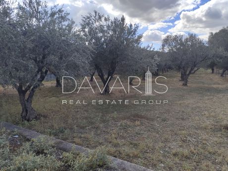 Land plot 603sqm for sale-Paiania » Center