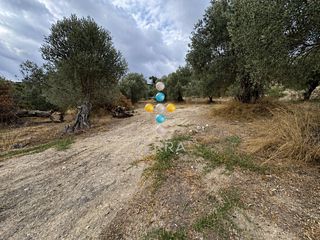 Μονοκατοικία 246 τ.μ. για πώληση, Ν. Ρεθύμνου, Αρκάδι-thumb-8