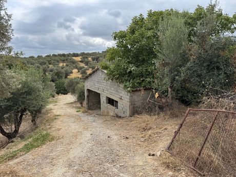 Μονοκατοικία 246τ.μ. για πώληση-Αρκάδι