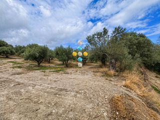 Μονοκατοικία 246 τ.μ. για πώληση, Ν. Ρεθύμνου, Αρκάδι-thumb-4
