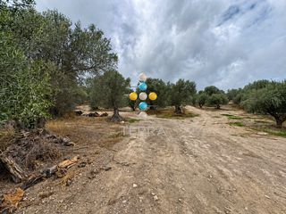 Μονοκατοικία 246 τ.μ. για πώληση, Ν. Ρεθύμνου, Αρκάδι-thumb-3
