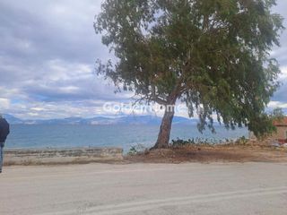 Οικόπεδο 1.000 τ.μ. για πώληση