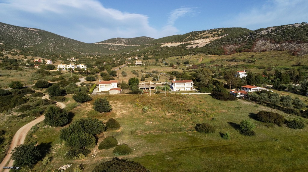 Οικόπεδο 5.250 τ.μ. προς πώληση, Σαλάντι