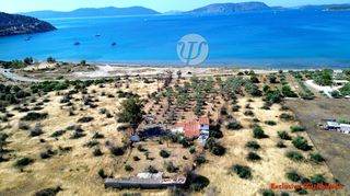 Οικόπεδο 7.449 τ.μ. για πώληση, Αργολίδα, Ερμιόνη-thumb-1