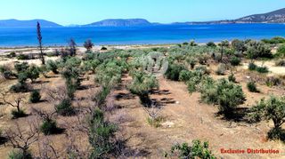 Οικόπεδο 7.449 τ.μ. για πώληση, Αργολίδα, Ερμιόνη-thumb-3