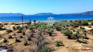 Οικόπεδο 7.449 τ.μ. για πώληση, Αργολίδα, Ερμιόνη-thumb-5