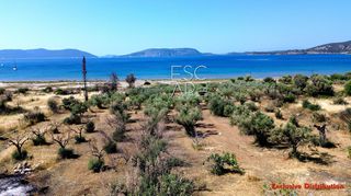 Οικόπεδο 7.449 τ.μ. για πώληση, Αργολίδα, Ερμιόνη-thumb-6