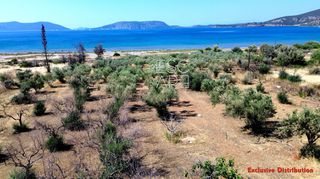 Οικόπεδο 7.449 τ.μ. για πώληση, Αργολίδα, Ερμιόνη-thumb-8