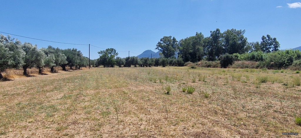 Αγροτεμάχια 4.787 τ.μ. πρός πώληση, Μεσσηνία, Μελιγαλά