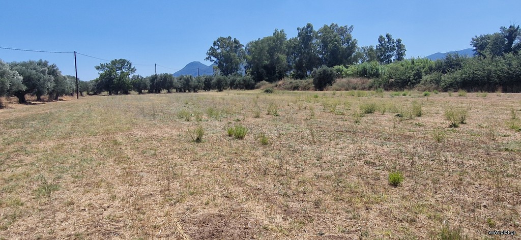 Αγροτεμάχια 4.787 τ.μ. πρός πώληση, Μεσσηνία, Μελιγαλά