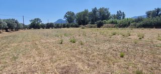 Αγροτεμάχια 4.787 τ.μ. προς πώληση, Ζευγολατιό Μελιγαλά-thumb-3