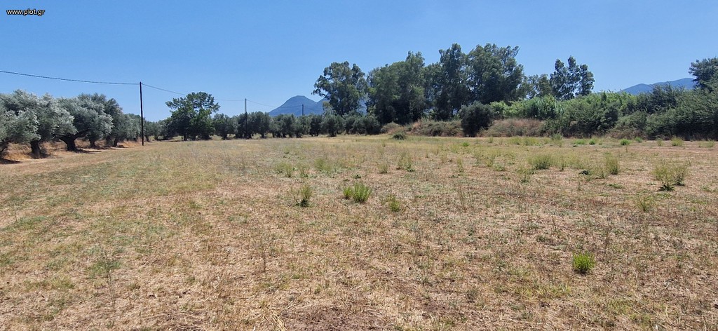Αγροτεμάχια 4.787 τ.μ. πρός πώληση, Μεσσηνία, Μελιγαλά