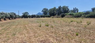 Αγροτεμάχια 4.787 τ.μ. προς πώληση, Ζευγολατιό Μελιγαλά-thumb-4