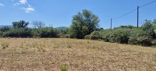 Αγροτεμάχια 4.787 τ.μ. προς πώληση, Ζευγολατιό Μελιγαλά-thumb-5